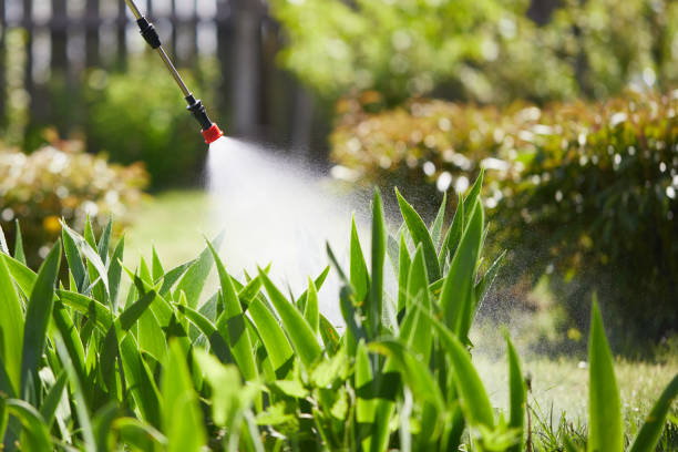 Tamper-Resistant Bait Stations for Rodents in Windsor